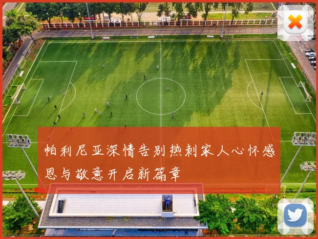 帕利尼亚深情告别热刺家人心怀感恩与敬意开启新篇章